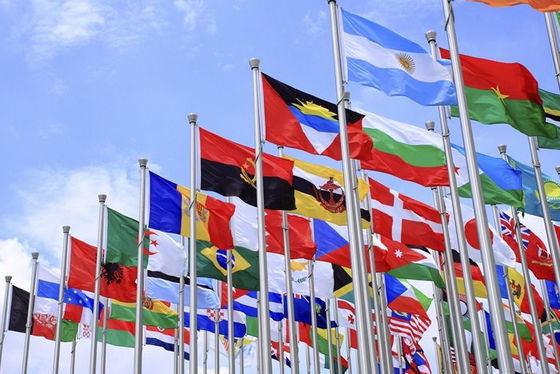 Wspaniałe flagi wszystkich krajów świata 3X5FT 100 materiał poliestrowy